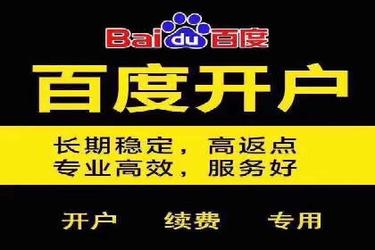 成功案例分享：SEM竞价代运营策略解析